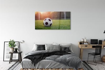 Acrylic print Grass football gateway