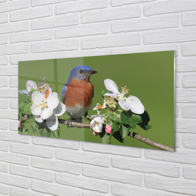 Acrylic print Flowers colorful parrot