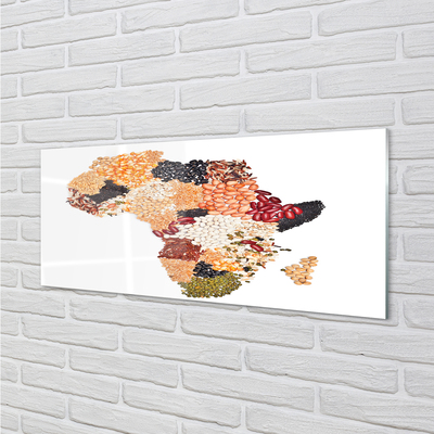 Acrylic print Spices map