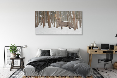 Acrylic print Deer winter forest