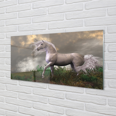Acrylic print Unicorn clouds