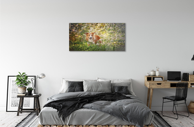 Acrylic print Dog flowers forest