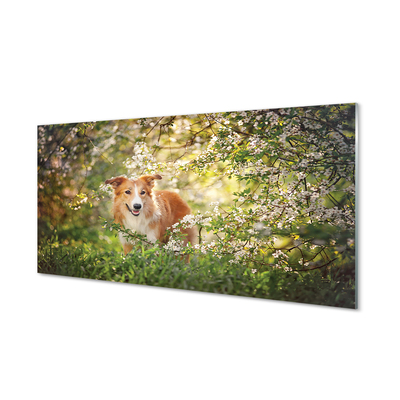 Acrylic print Dog flowers forest