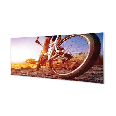 Acrylic print Mountain bike road west