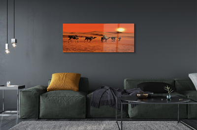 Acrylic print Camels sky sun desert people