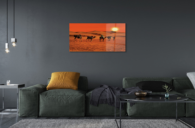 Acrylic print Camels sky sun desert people