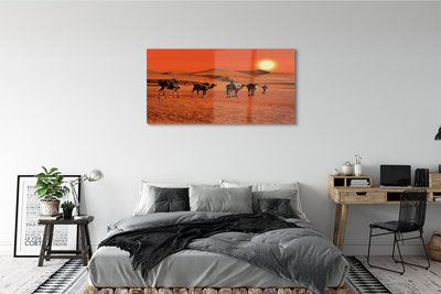 Acrylic print Camels sky sun desert people