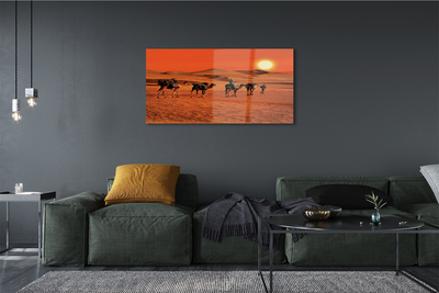 Acrylic print Camels sky sun desert people