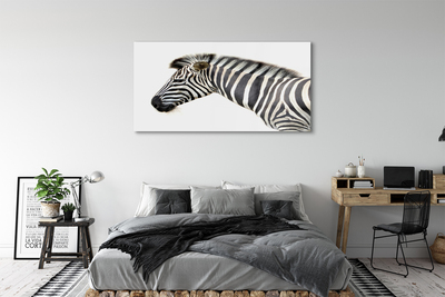 Acrylic print Zebra