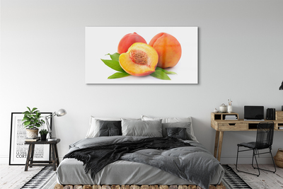 Acrylic print Apricot