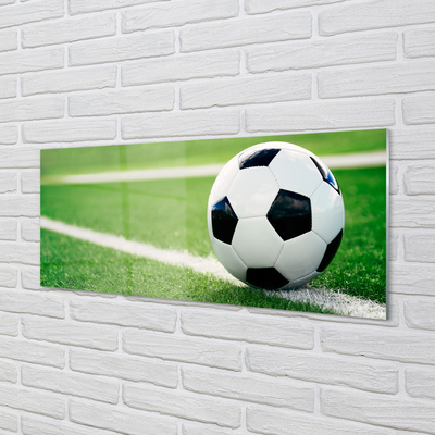 Acrylic print Grass football