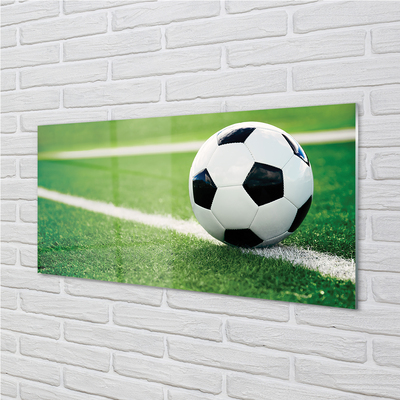 Acrylic print Grass football