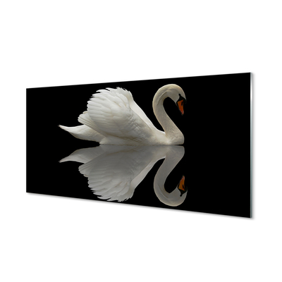 Acrylic print Swan at night