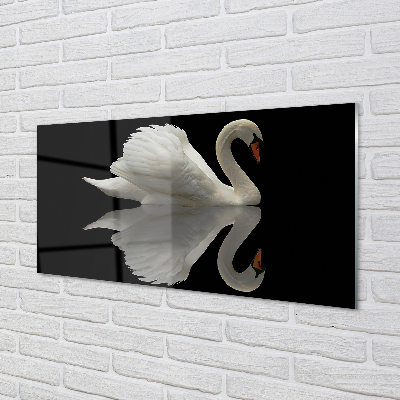 Acrylic print Swan at night