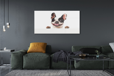 Acrylic print Dog