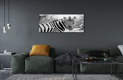Acrylic print Zebra retro