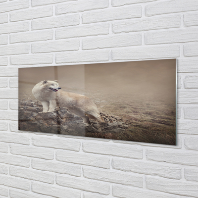 Acrylic print Wolf mountain