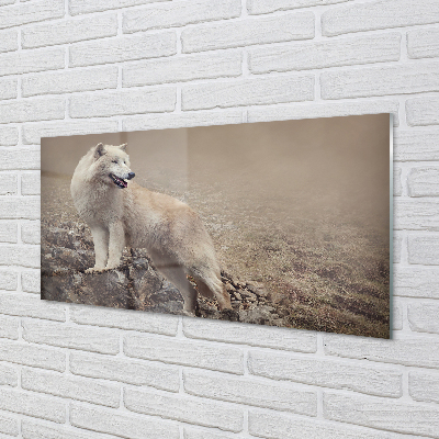 Acrylic print Wolf mountain