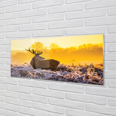 Acrylic print Deer sunrise winter sun