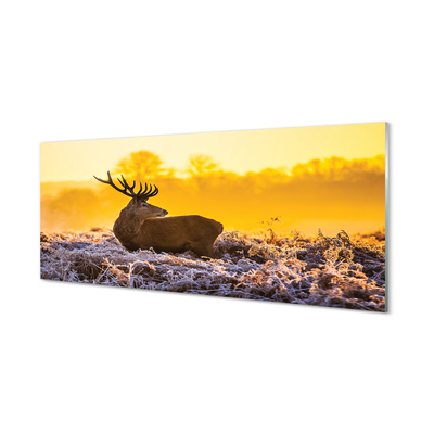 Acrylic print Deer sunrise winter sun