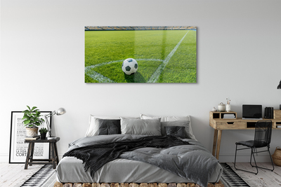Acrylic print Football stadium grass