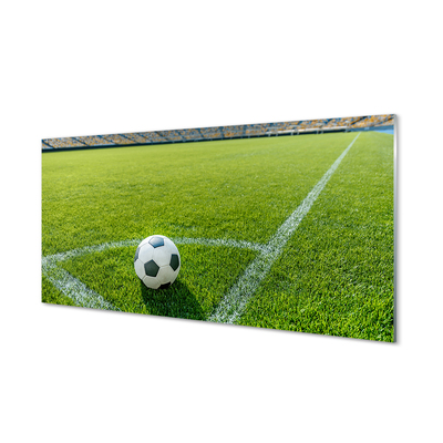 Acrylic print Football stadium grass