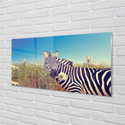 Acrylic print Zebra flowers