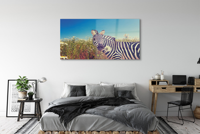 Acrylic print Zebra flowers