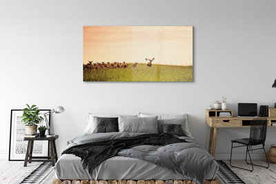 Acrylic print A herd of deer sunrise on the field