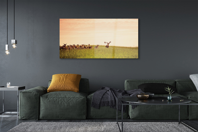 Acrylic print A herd of deer sunrise on the field