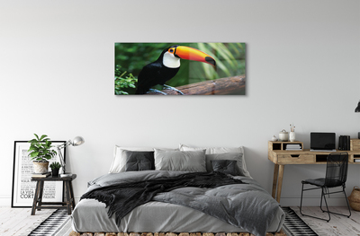 Acrylic print Toucan on a branch