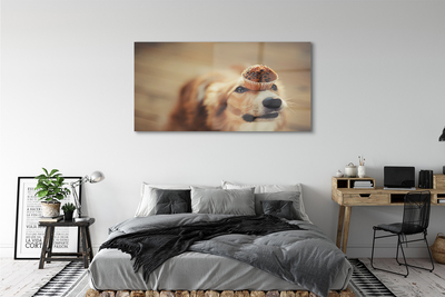 Acrylic print Small dog bread