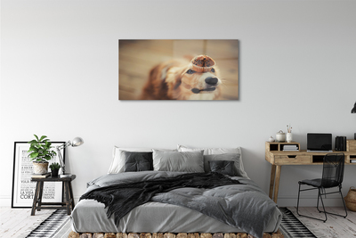 Acrylic print Small dog bread