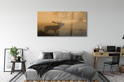 Acrylic print Rising of the sun deer