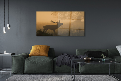 Acrylic print Rising of the sun deer