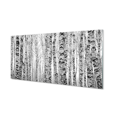 Acrylic print Birch black and white