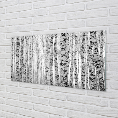 Acrylic print Birch black and white