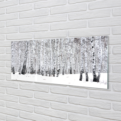 Acrylic print Winter birch