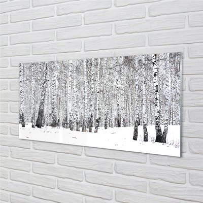 Acrylic print Winter birch