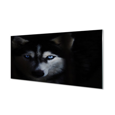Acrylic print Wolf eyes