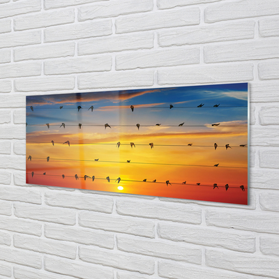 Acrylic print Birds on sunset ropes