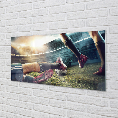 Acrylic print Football stadium cork