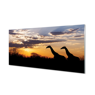Acrylic print Clouds girafes wave