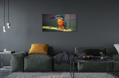 Acrylic print Colored bird on a branch