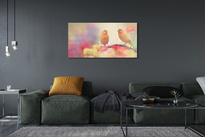 Acrylic print Colorful parrot