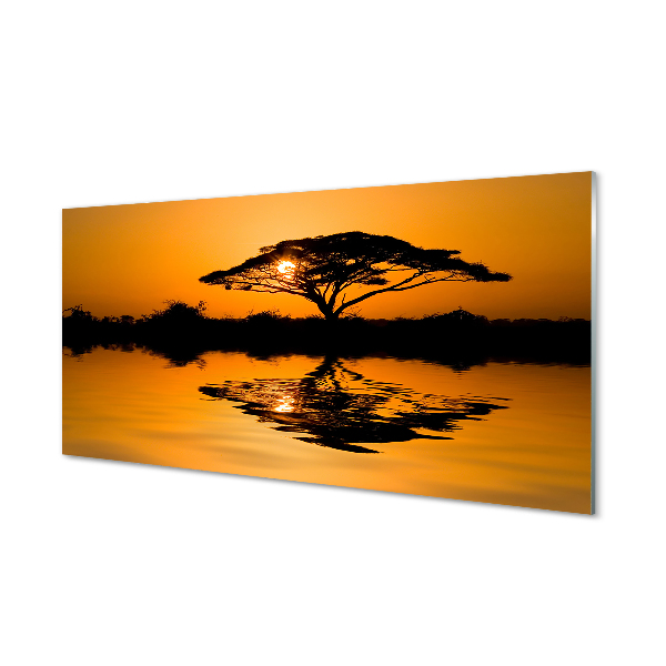 Acrylic print Tree sunset