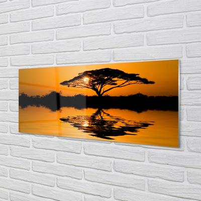 Acrylic print Tree sunset