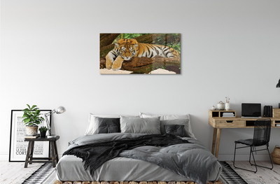 Acrylic print Tiger tree