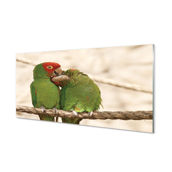 Acrylic print Green parrots