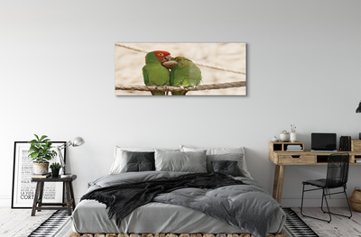 Acrylic print Green parrots